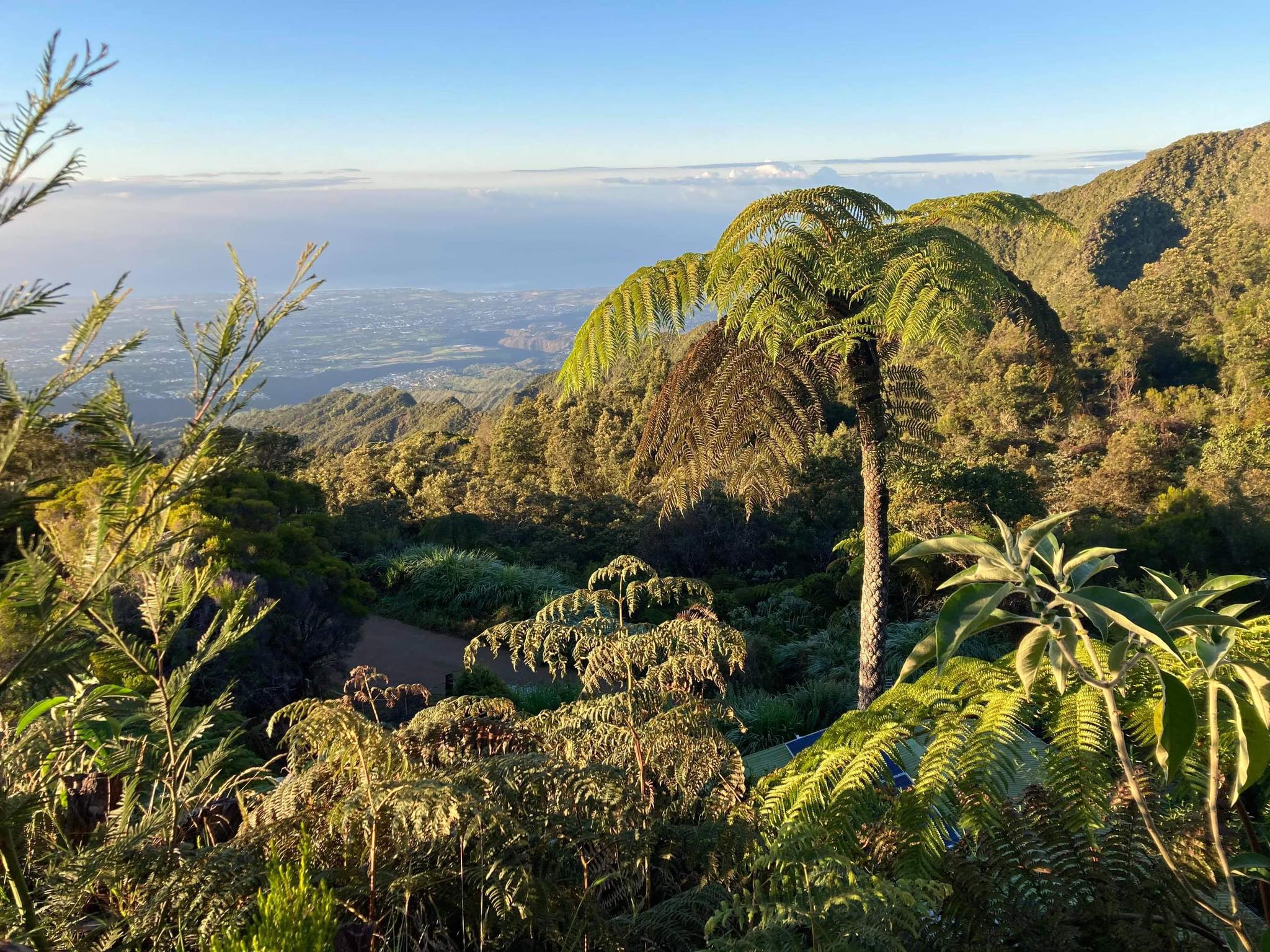 Vivre à la Réunion : vue panoramique le tampon