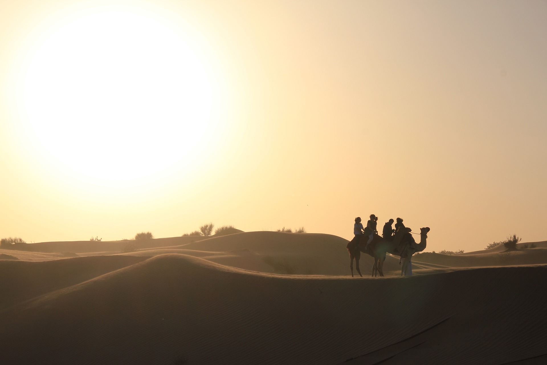 Quand partir à Dubai : désert de dubai