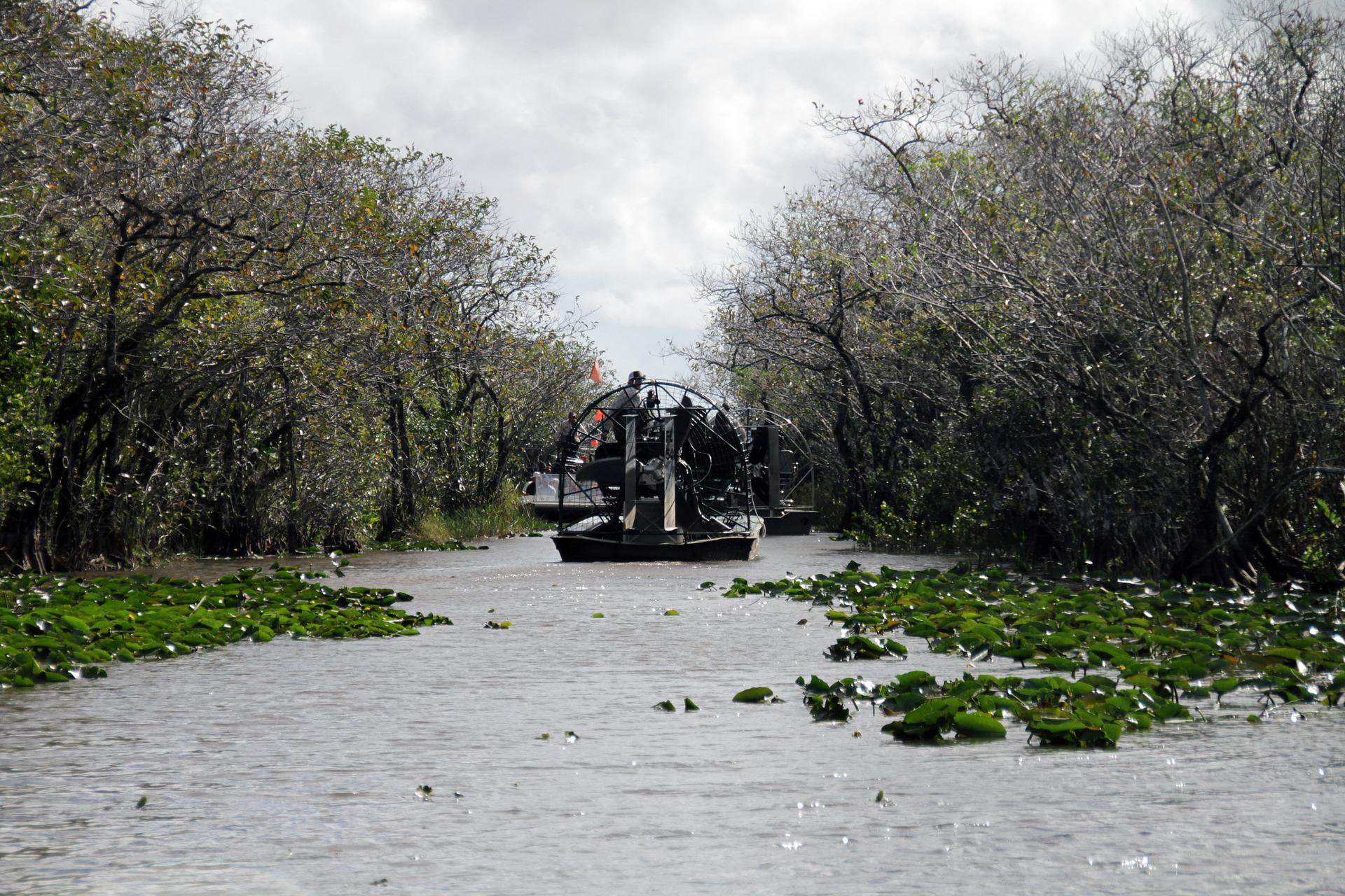 1 semaine en Floride : Les Everglades 