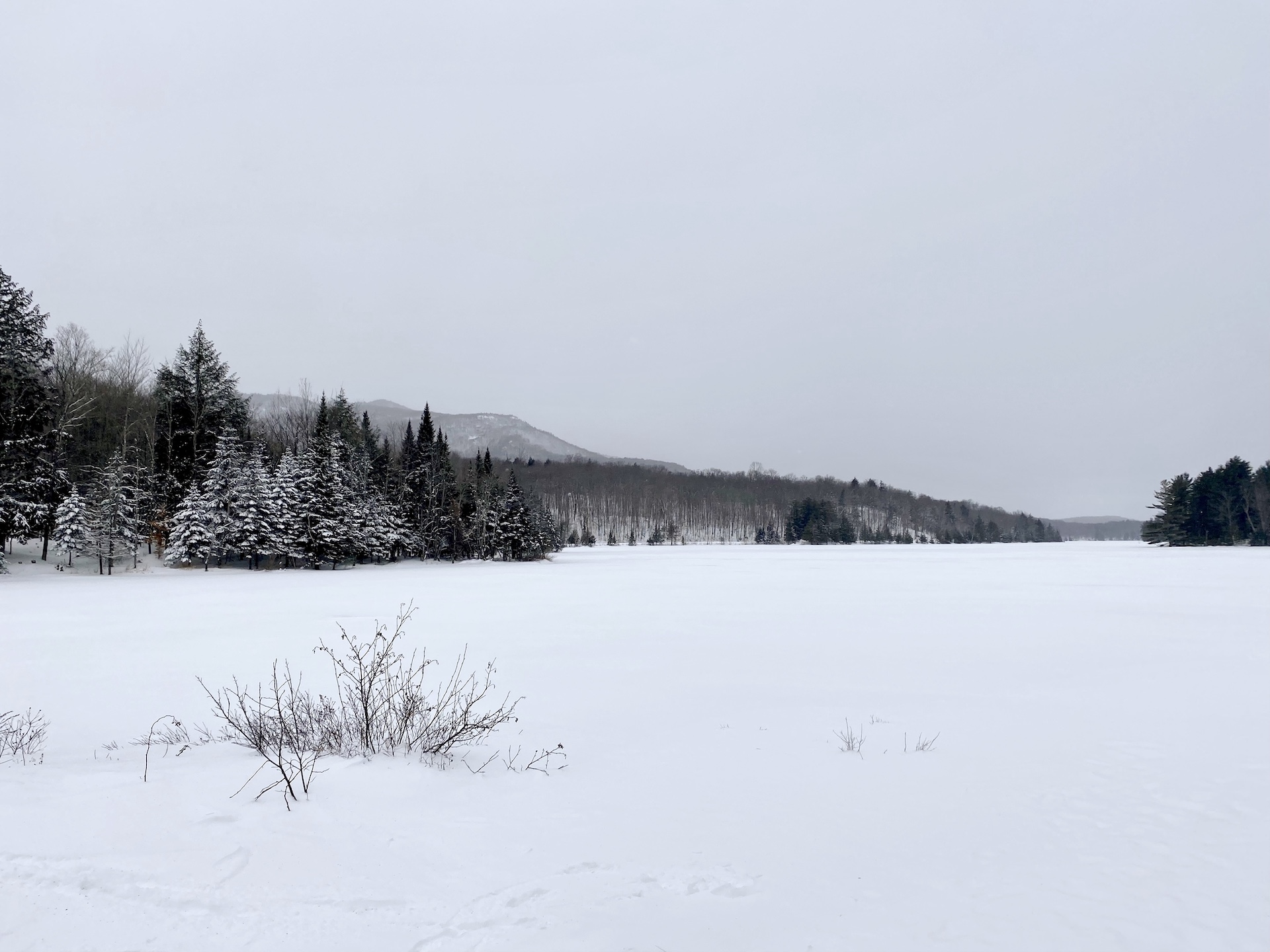 vivre à Montréal : Canada sous la neige