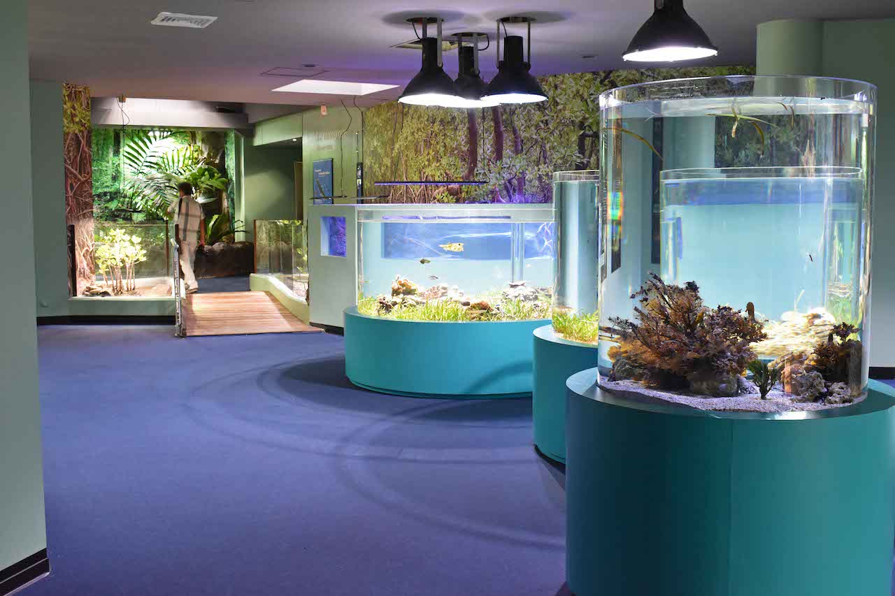 Que faire à Nouméa : aquarium de nouméa