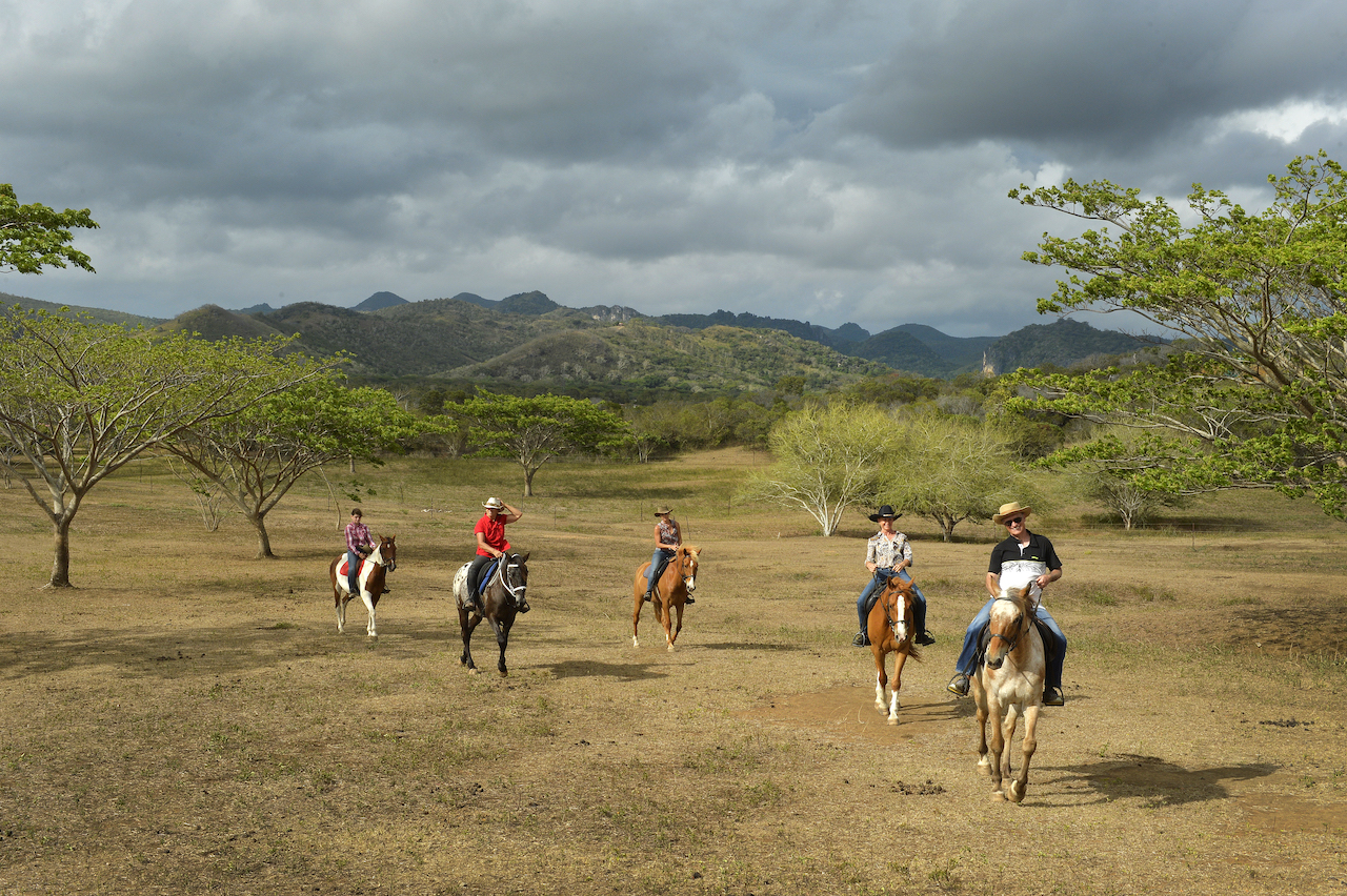 Blog vouage Nouvelle Calédonie : Koumac cheval