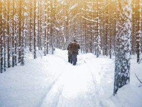 Quand partir en Laponie : randonnée dans la neige