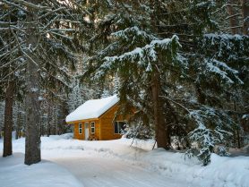 Où dormir en Laponie : chalet cosy dans la forêt