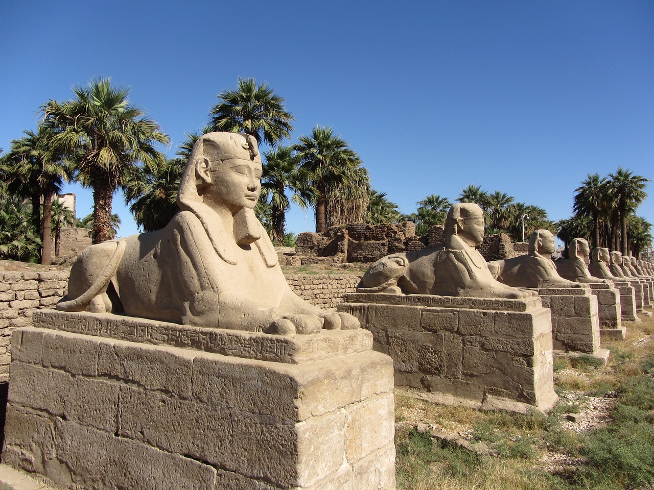 11 jours en Egypte : sphinx